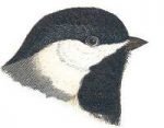 See species information for Carolina chickadees