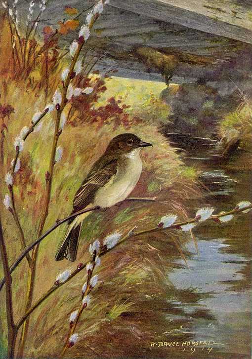 Painting of eastern phoebe perched on a branch overhanging a stream with a bridge crossing the stream among foliage in the background