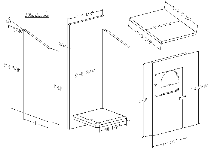 Owl House Dimensions