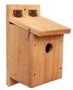 zebra finch nest box plans