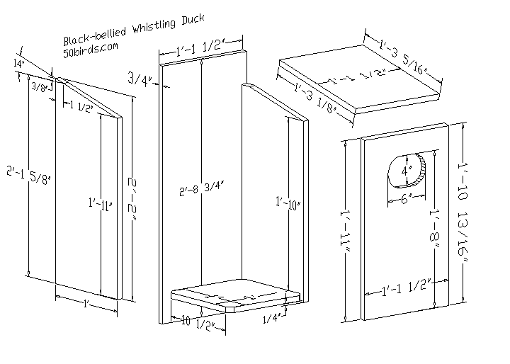 black-bellied-whistling-duck-house-70birds-birdhouse-plans