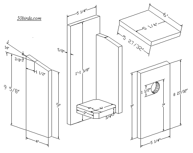 What Size Hole For A Carolina Wren House