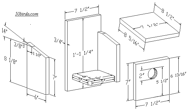 House Finch Birdhouse 70birds Birdhouse Plans Index