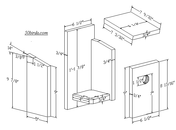 Tree and Violet-green Swallow Birdhouse - 70birds Birdhouse Plans Index