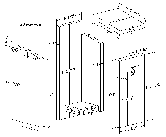 eastern bluebird house plans