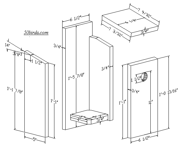 Yellow-bellied Sapsucker Birdhouse - 70birds Birdhouse Plans Index