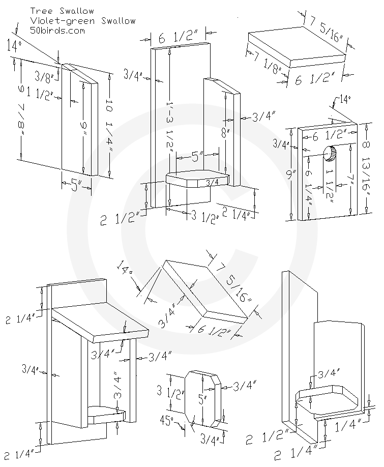 Violet Green Swallow Bird House Plans